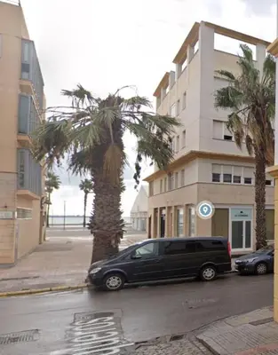 a black van parked next to a palm tree on a street at Puertas del Mar 1 in Puerto Real