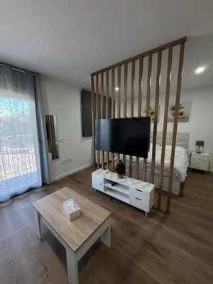 a living room with a flat screen tv and a bed at Roomy Estudio in Jerez de la Frontera