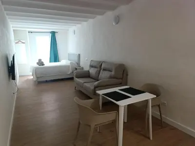 a living room with a couch and a table and a bed at Apartamento Fino in Jerez de la Frontera