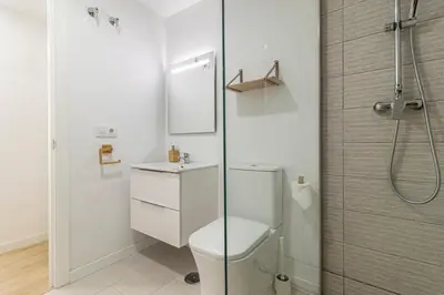 a bathroom with a toilet and a shower at Allo Apartments Morenos I 2ºC Centro 1 habitación in Jerez de la Frontera