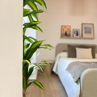 Loft Mamalú Jerez