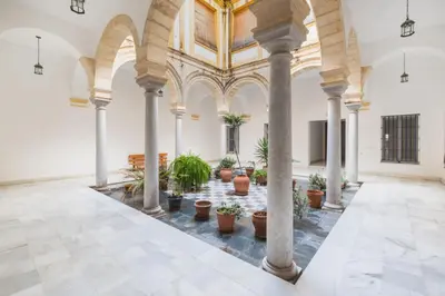 an empty room with potted plants in a building at Cadizz Anda La Luz Tu lugar en El Puerto Santa María centro ciudad in El Puerto de Santa María