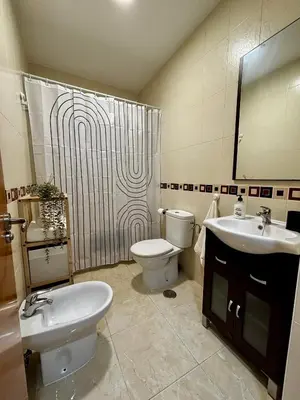 a bathroom with a toilet and a sink and a shower at Apartamento MAREMIA in San Fernando