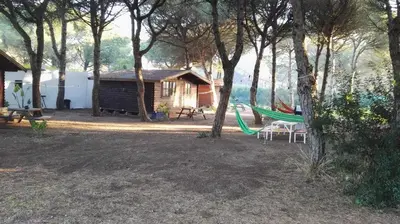 a campsite with a hammock and a cabin at Cabañas de Veròn in Conil de la Frontera