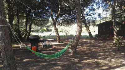 a hammock tied to trees in a park at Cabañas de Veròn in Conil de la Frontera