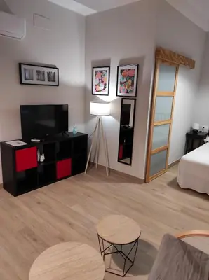 a living room with a bed and a television at Apartamentos turísticos CASA de los BALCONES in Chipiona