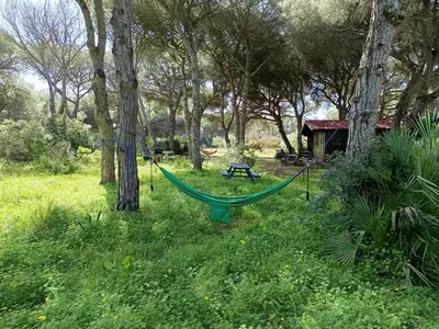 a hammock in the grass next to a cabin at Cabañas de Veròn in Conil de la Frontera