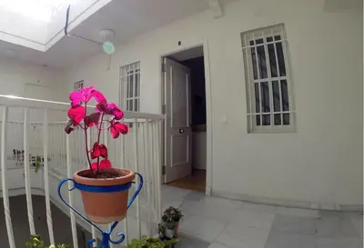 a plant in a pot sitting on a balcony at DescubreHome Sacramento in Cádiz