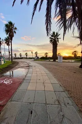an empty street with palm trees and a sunset at Playa Ballena Apartment in Chipiona