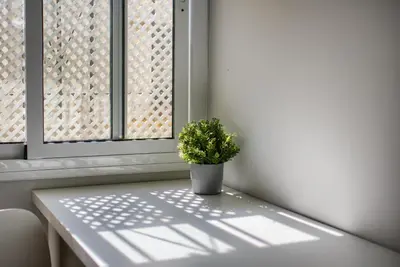 a potted plant sitting on a table in front of a window at Apartamento Luz de Cádiz in Cádiz