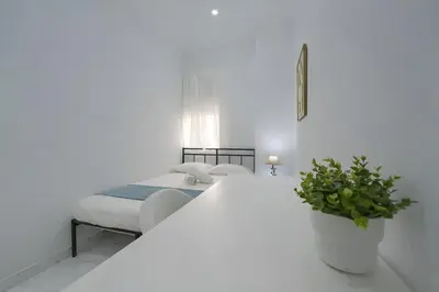 a white bedroom with a bed and a potted plant at Apartamento Luz de Gadir in Cádiz