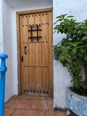 a wooden door in a building with a plant at Chiclanero Loft in Chiclana de la Frontera