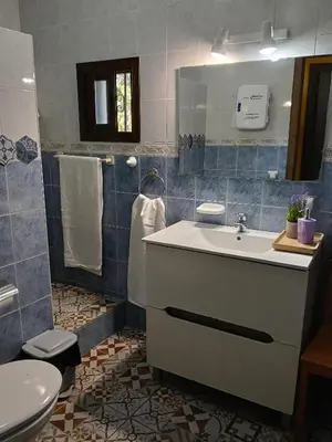 a bathroom with a sink and a toilet at Vivienda Rural El Piketa in Algar