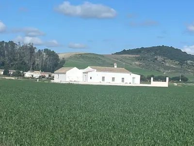 a white house in the middle of a green field at Los Granainos in El Guijo
