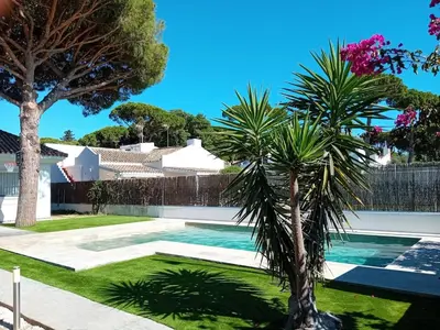 a palm tree in a yard with a swimming pool at Villa Playa La Barrosa in Novo Sancti Petri