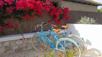 two blue bikes parked next to a wall with red flowers at Casa Chica 1 Sanlúcar de Barrameda. by Ruralidays in Sanlúcar de Barrameda