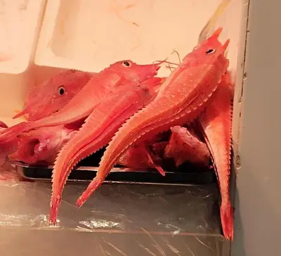 a group of lobsters sitting on a plate at Adelitas Home El Puerto in El Puerto de Santa María