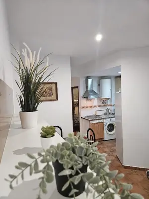 a kitchen with a table with potted plants on it at Apartamento Pepa in Chipiona