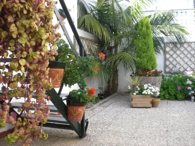 a garden with plants and flowers in pots at Apartment Penthouse- Klimatisierung- Strand und Sonne das ganze Jahr über by Interhome in Chipiona
