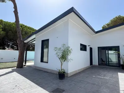 a white house with a potted plant on a patio at Casa Lumier in Chiclana de la Frontera