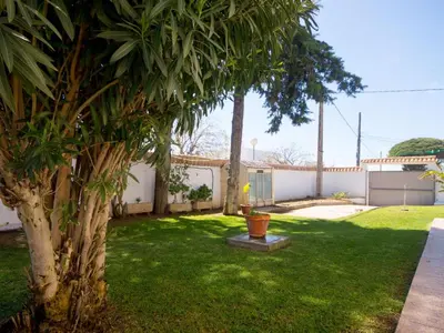 a yard with a palm tree and a fence at Villa Los Veleros 15119 in Chiclana de la Frontera