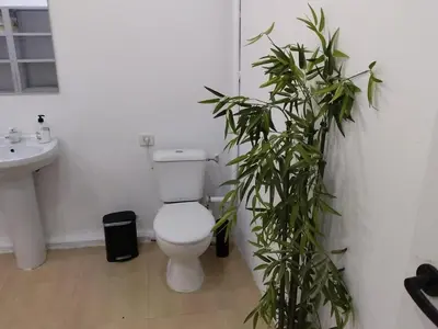 a bathroom with a toilet and a sink and a plant at Cádiz bahía in Cádiz