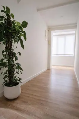 an empty room with a potted plant and a window at Rosario by Gades Gestión in Cádiz