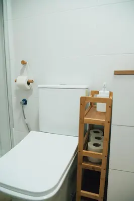 a bathroom with a toilet with a roll of toilet paper at Apartamento El Quejío in Jerez de la Frontera