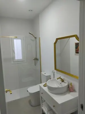 a bathroom with a sink and a toilet and a mirror at La corrala de la calle Sol in Jerez de la Frontera