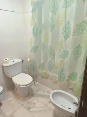 a bathroom with a toilet and a shower curtain at Acogedor apartamento en Bahía Blanca, Cádiz a 3 min de la playa in Cádiz