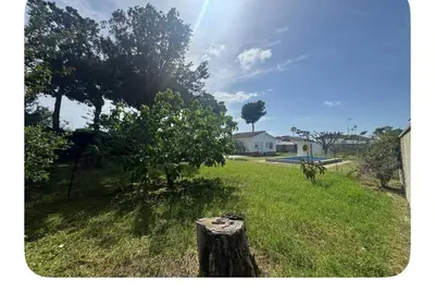 a tree stump in a field of grass with a house at a casiña cottage in Chiclana in Chiclana de la Frontera