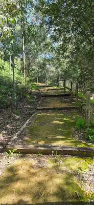 an old path in the woods with trees and grass at La casa de curro in Arcos de la Frontera