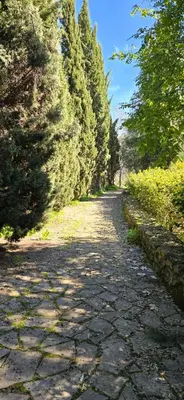 a stone road with trees on either side at La casa de curro in Arcos de la Frontera