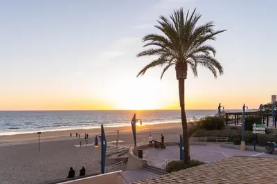 a palm tree on the beach at sunset at Coqueto apartamento en primera linea de playa in Novo Sancti Petri