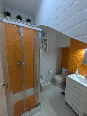 a bathroom with a shower and a toilet and a sink at La Casita de Cai in Cádiz