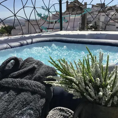 a swimming pool with a plant and a towel at Hotel Posada de las Cuevas in Arcos de la Frontera