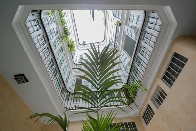 an overhead view of a building with a plant at Studio Novena Little Apartments in Cádiz