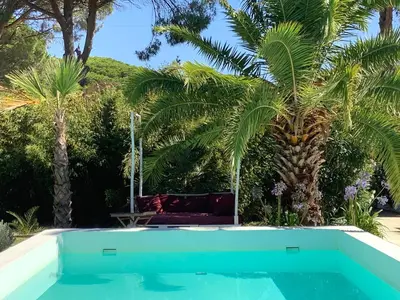 a swimming pool in front of a palm tree at Kasbah Andaluz guest house in Chiclana de la Frontera