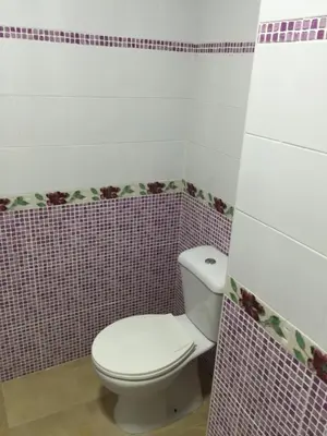 a bathroom with a toilet and a pink tiled wall at Cadiz Deluxe Apartment in Cádiz