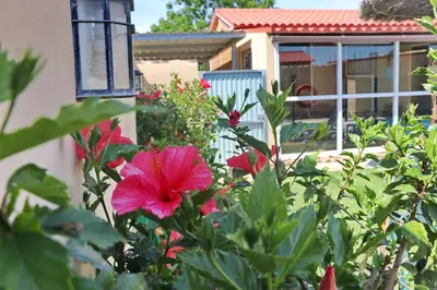a pink flower in a garden in front of a house at Bungalow Curro Pareja 97 in Conil de la Frontera