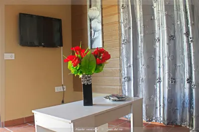 a vase with red flowers sitting on a table at Bungalow Curro Pareja 97 in Conil de la Frontera