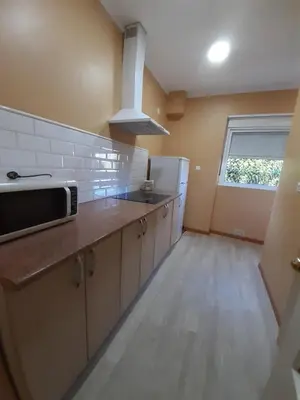 a kitchen with a sink and a microwave at Apartamento Zona Norte in Jerez de la Frontera