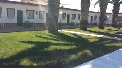 a shadow of a palm tree on the grass in front of a building at Hostal las Parcelas in Conil de la Frontera