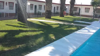 a swimming pool with palm trees in a yard at Hostal las Parcelas in Conil de la Frontera