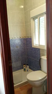 a bathroom with a toilet and a shower at Hostal las Parcelas in Conil de la Frontera