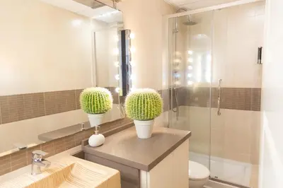 a bathroom with two potted plants on a counter at Sopranis by Gades Gestión in Cádiz