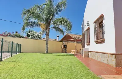 a palm tree in a yard next to a house at Chalet Vigía 114 in Conil de la Frontera