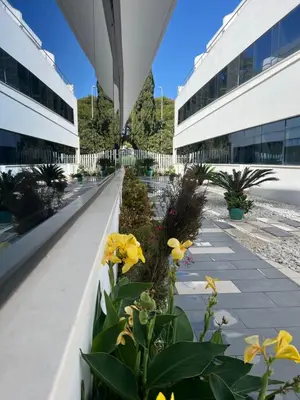 a row of buildings with yellow flowers on a sidewalk at Ancla Real Apartamentos Loft in El Puerto de Santa María