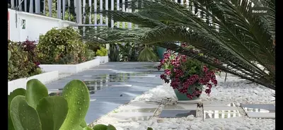 a pathway with plants and flowers in a building at Ancla Real Apartamentos Loft in El Puerto de Santa María