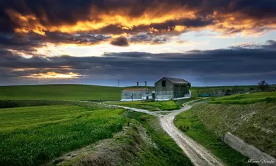 a house in the middle of a field with a dirt road at Pensión Montero in Jedula